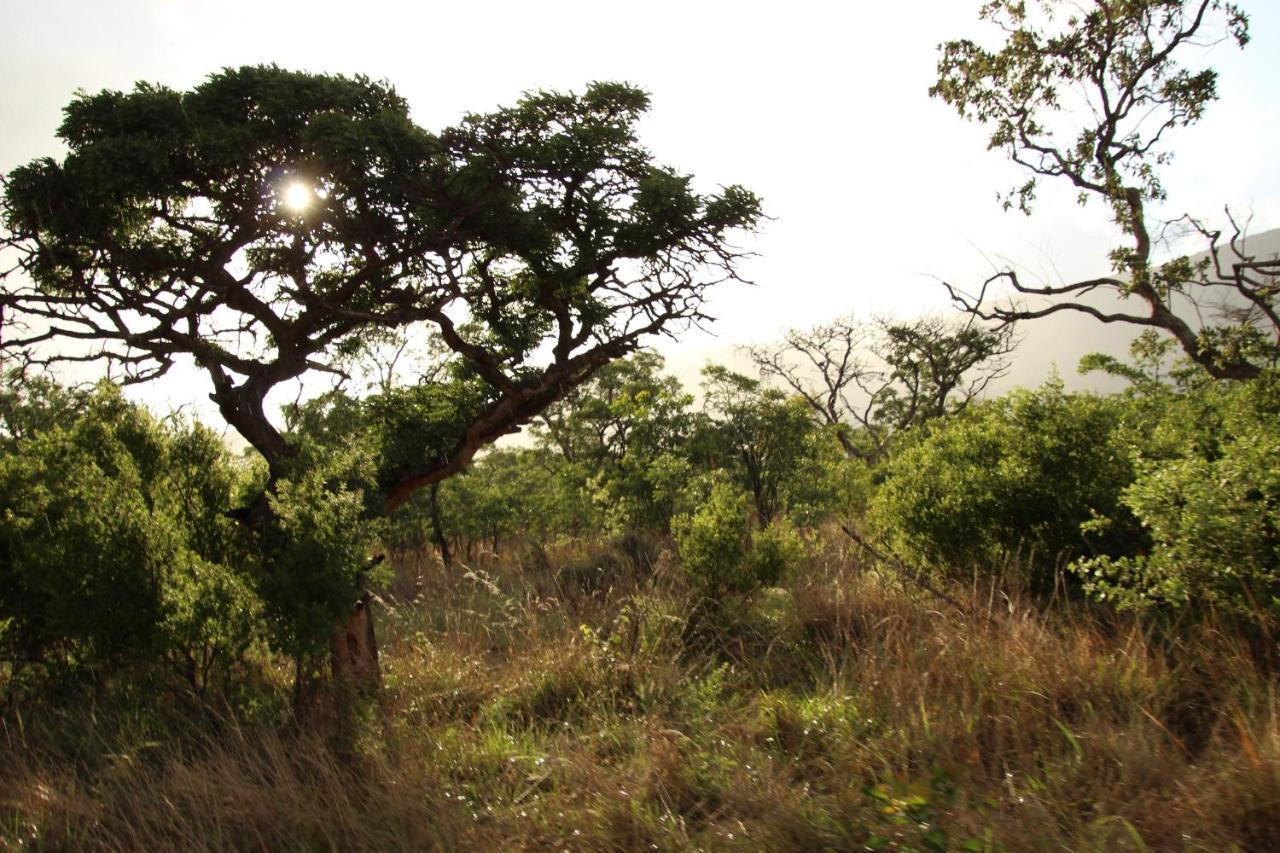 Sofala Lodge Mokopane Kültér fotó